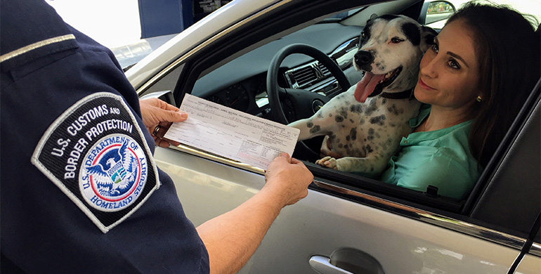 Registration of PIOs